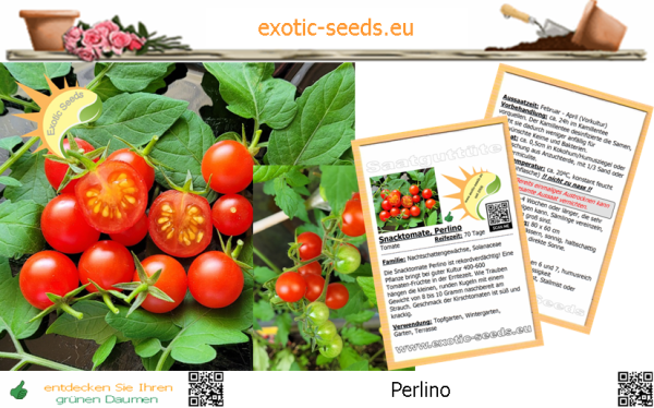Tomate * Perlino F1 rot * Snacktomate * 20 Samen